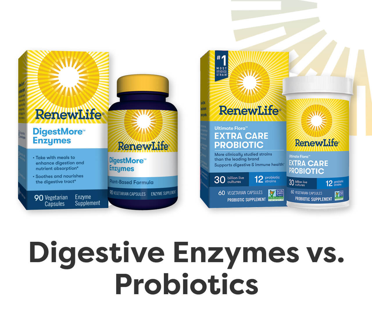 Renew Life What Are Digestive Enzymes? Milled