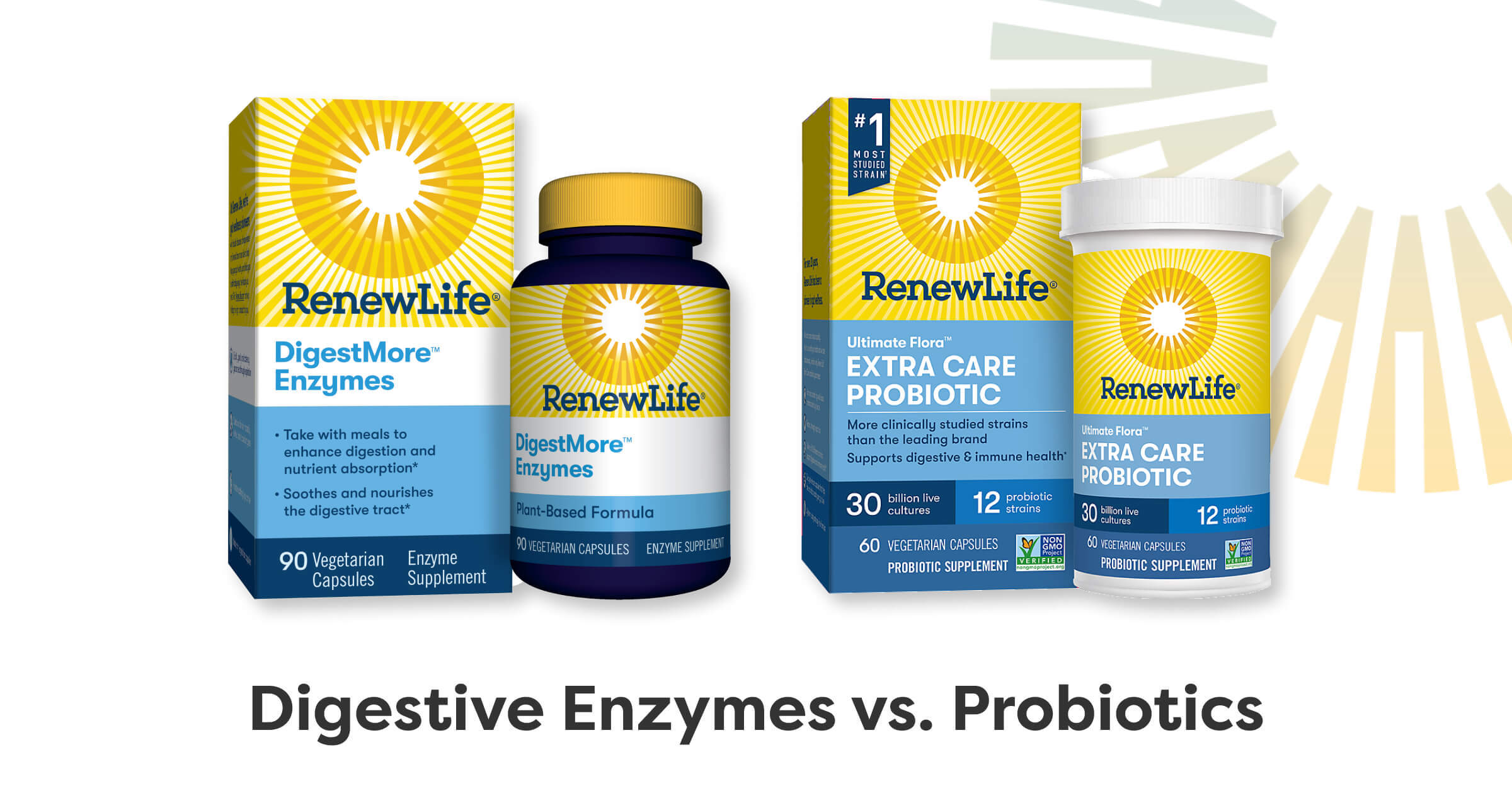 Renew Life What Are Digestive Enzymes? Milled