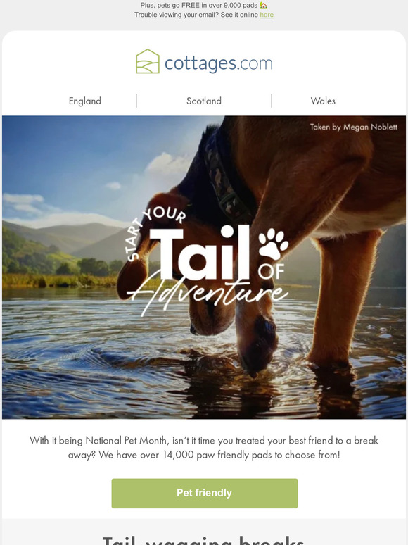 Pawfect for pets (and you!) 😊