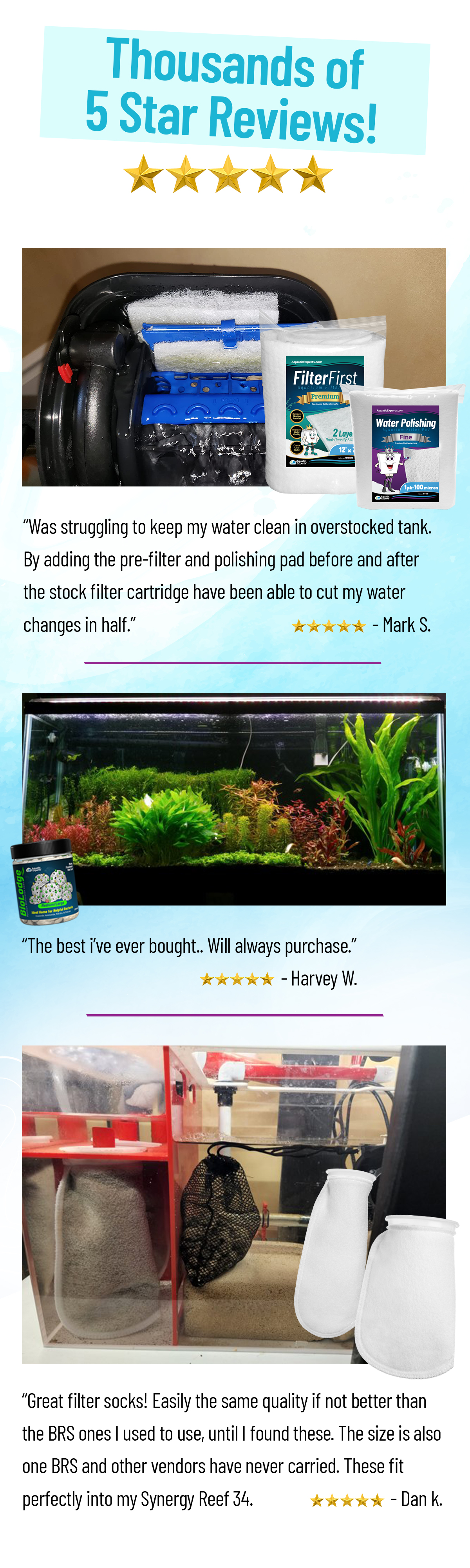 Experts Guide To Saltwater Aquariums Plus 3 Bonus Reports Experience