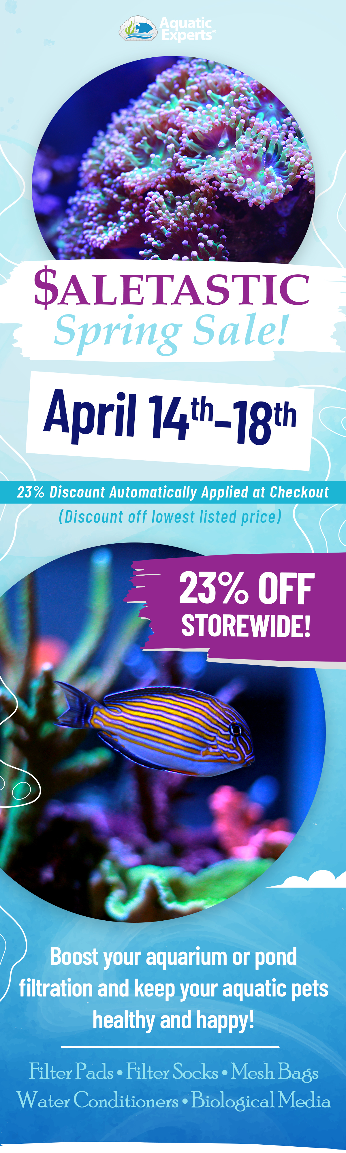 Experts Guide To Saltwater Aquariums Plus 3 Bonus Reports Experience