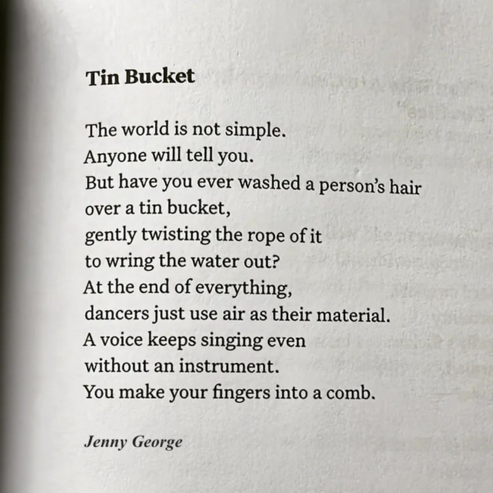 Curious Elixirs a litany of leaves, a speedy black hole + an animated