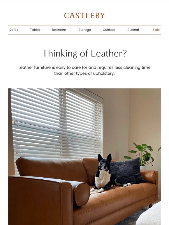 Considering a leather sofa?
