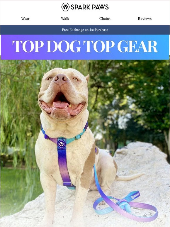 Top Gears for Top Dogs - 30% Off Select Styles