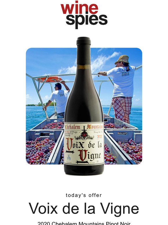 The Wine Spies 🕵️ Must See Oregon Pinot Discovery! Milled