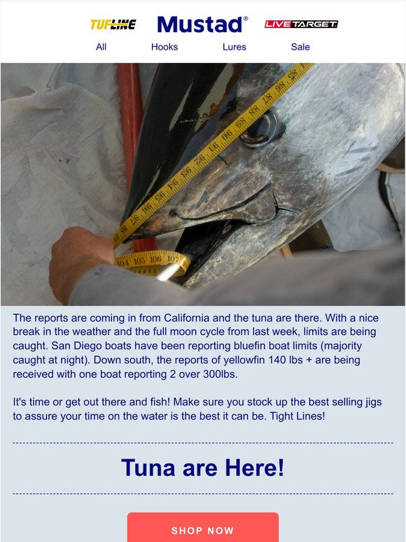 California Tuna are here!