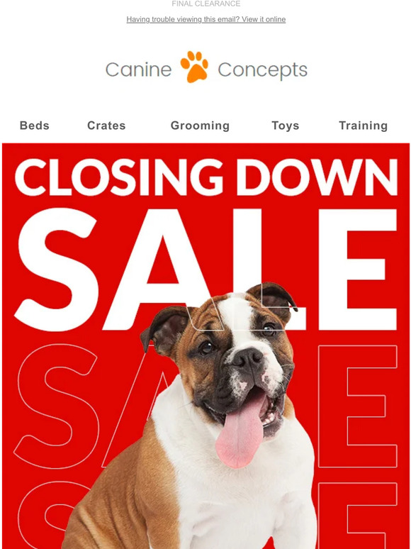Everything must go ⚠️️️️️
