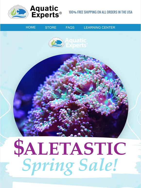 Experts Guide To Saltwater Aquariums Plus 3 Bonus Reports 💰 Unlock