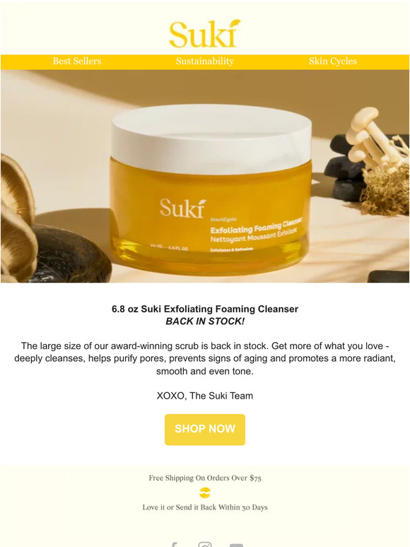 Large Exfoliating Foaming Cleasner: BACK IN STOCK