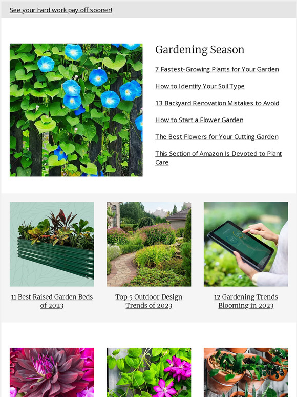 Better Homes and Gardens 7 FastestGrowing Plants for Your Garden Milled