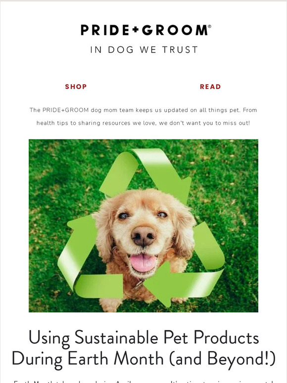 Pride + Groom 🌎 Using Sustainable Pet Products During Earth Month (and