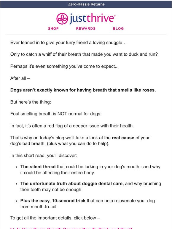 The ugly truth about your dog's breath