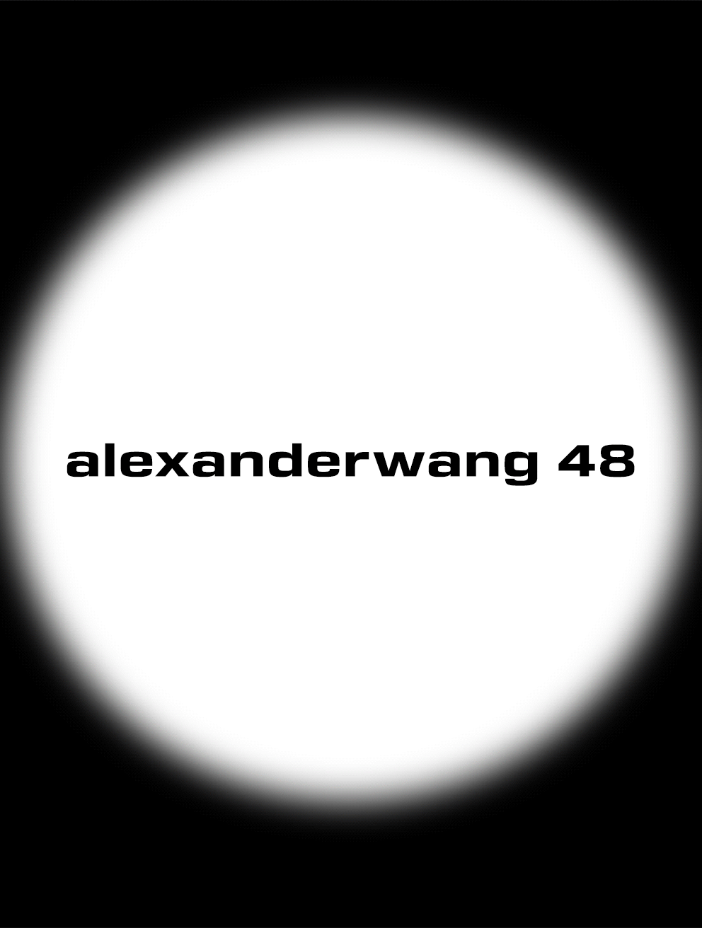 Alexander Wang 48 Hours Flash Sale