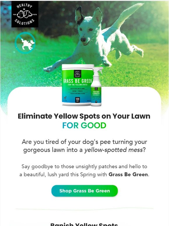 Dog urine destroying your lawn?