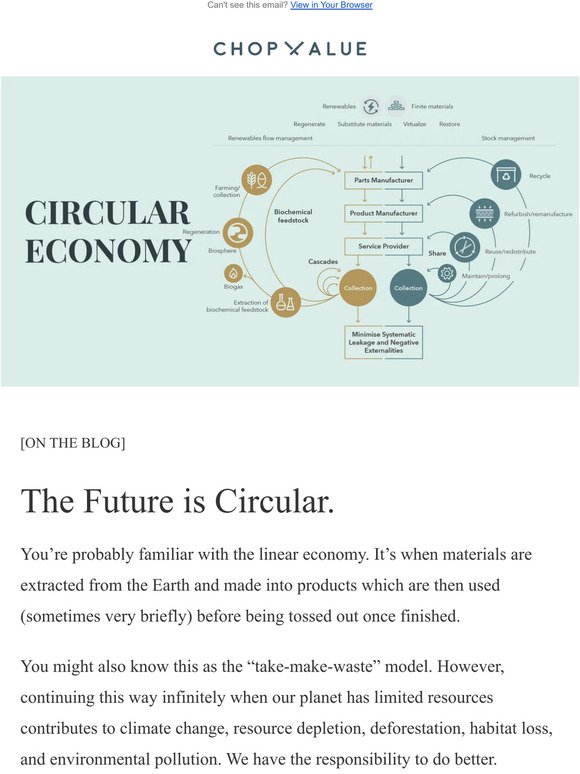 STAY IN THE (CLOSED) LOOP: The Future is Circular ♻️