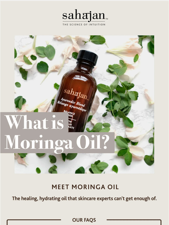 What is Moringa Oil?  🍃