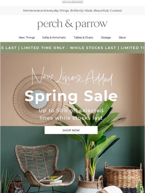 Our Spring Sale Editor's Picks!
