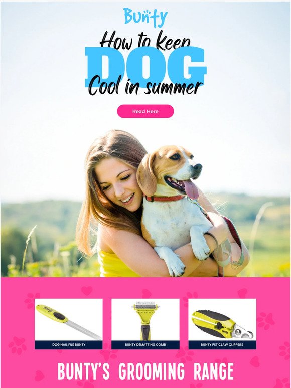 Do you know how to keep dogs cool in summer?