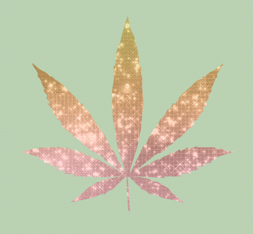 miss mary jane wildflower cases