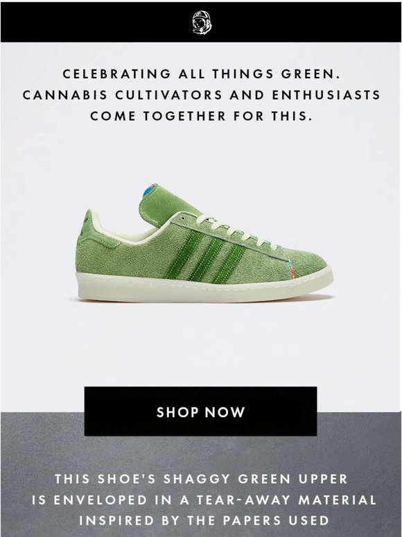 🍃💨 NOW AVAILABLE: ADIDAS CAMPUS80 CROP