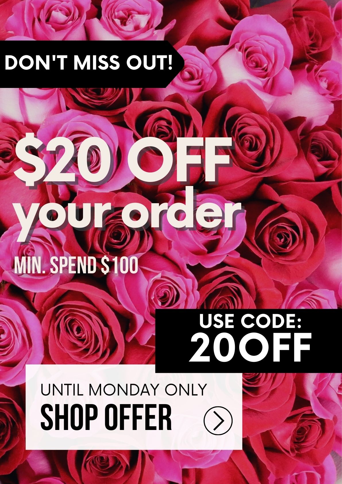 Mr Roses ENDS MONDAY Spend 100, Get 20 OFF Milled