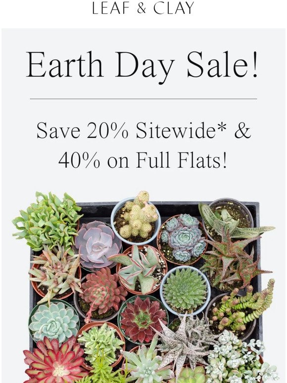 🌵Earth Day Sale! Get up to 40% OFF! 🌵