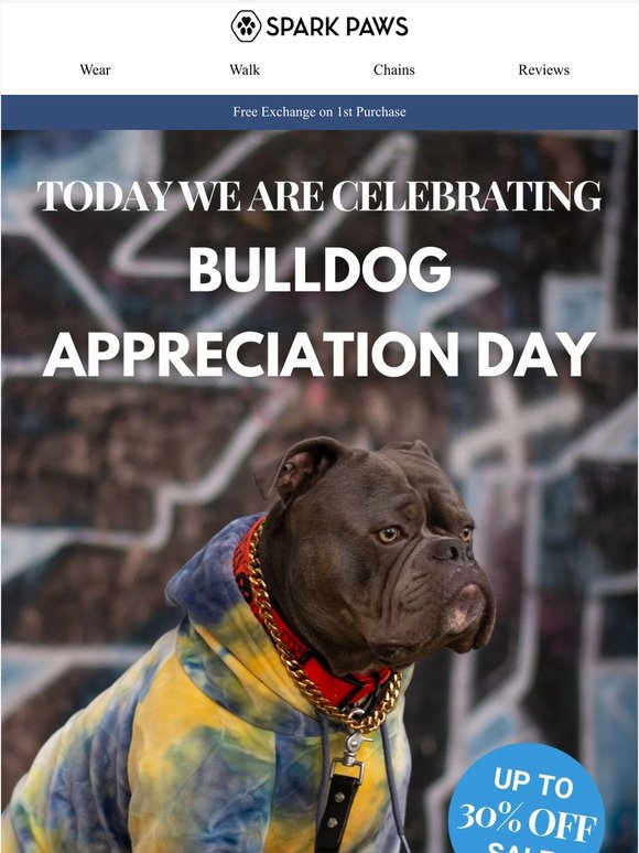 Bully Appreciation Day: 30% Off Best Sellers
