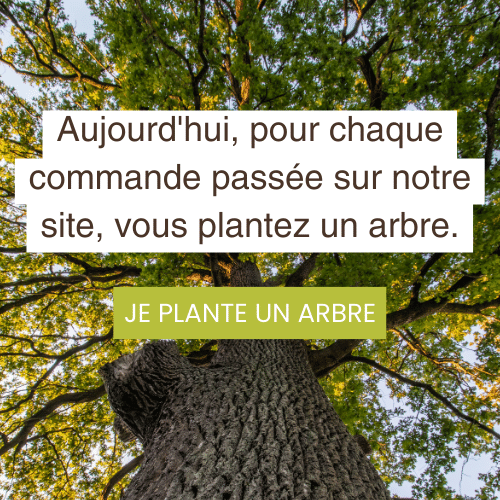 Engagés pour la reforestation