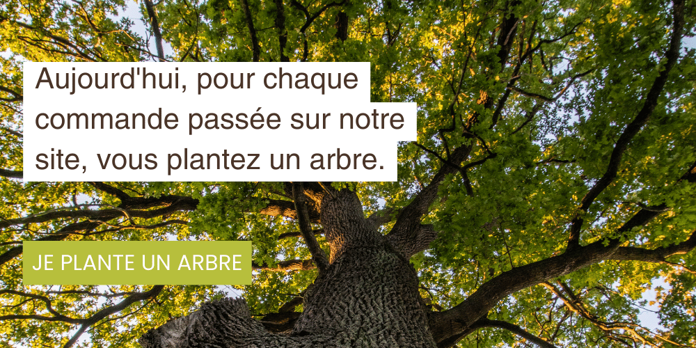 planter un arbre