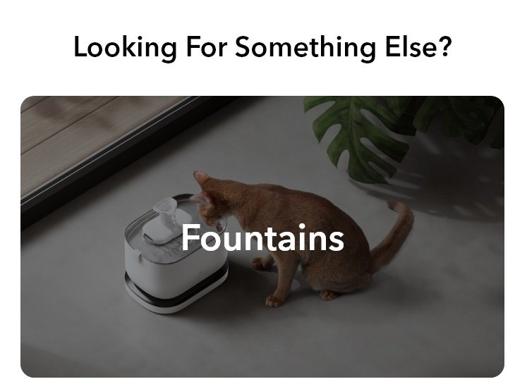 Automatic Fountain