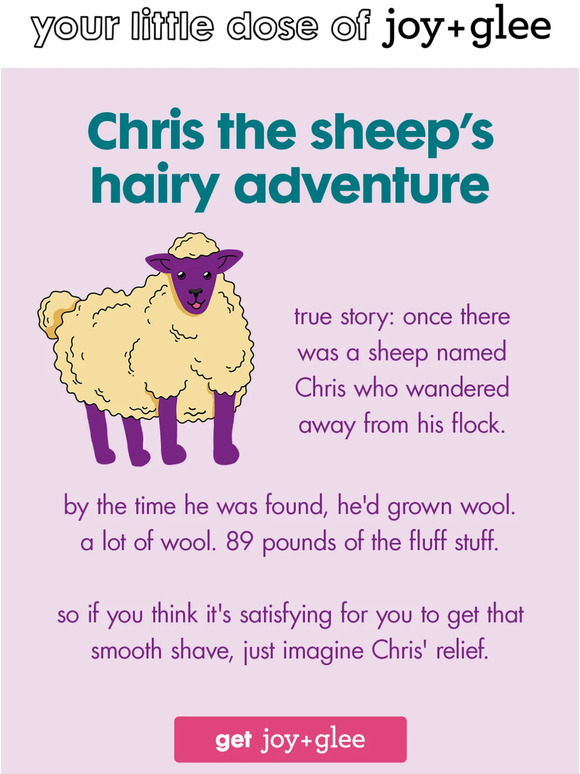 do you know about Chris the sheep?