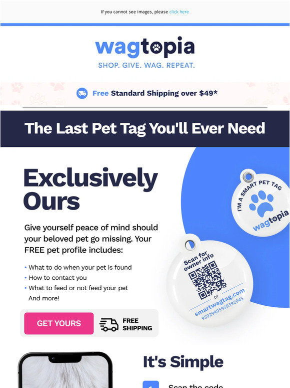 Tag! You're it...it's Pet ID Week!