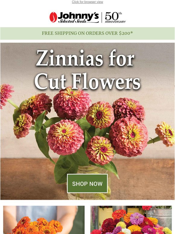 Easy-to-Grow, Reliable Zinnia Varieties