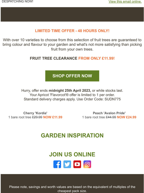 Fruit Tree CLEARANCE up to 60% OFF