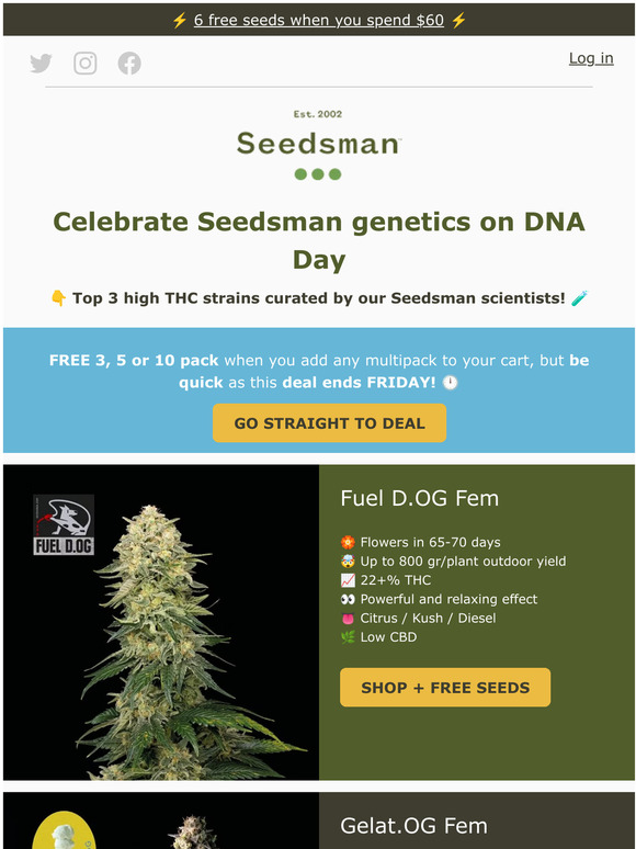 seedsman TOP 3 Seedsman 🧬😉 Milled