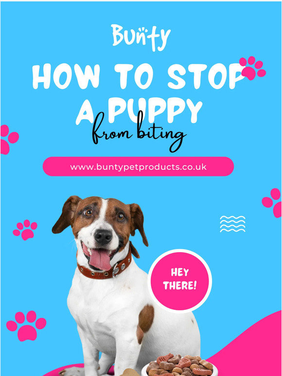 Bunty Pet Products How to stop a puppy from biting! Milled