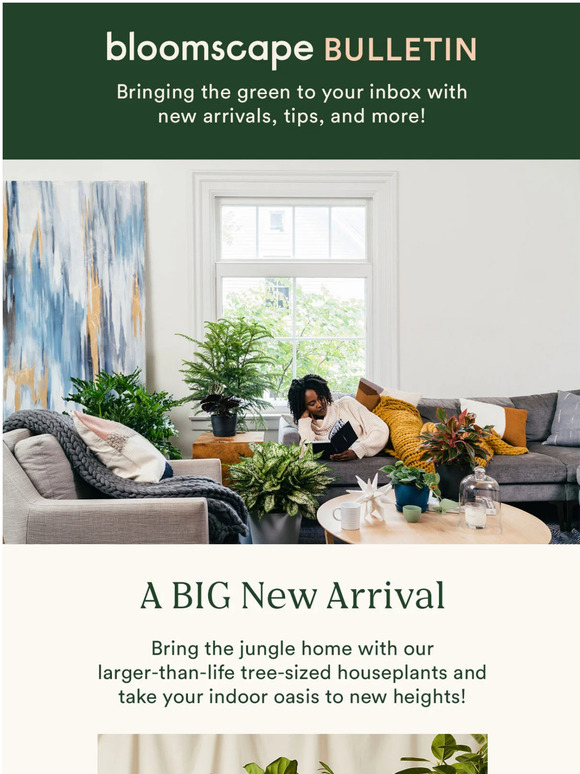 Bloomscape What's new and now this month at Bloomscape Milled