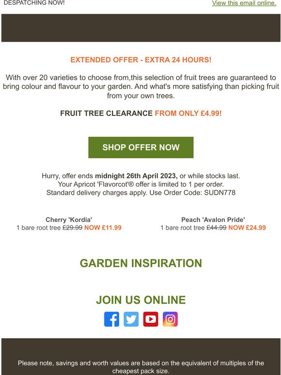 Fruit Tree CLEARANCE up to 60% OFF! EXTRA 24 HOURS!