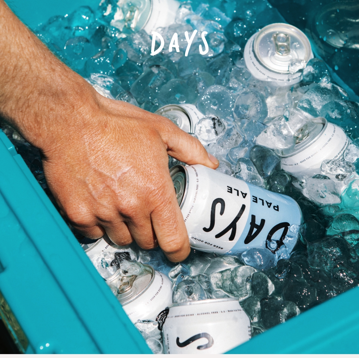 Days Brewing ice cold cans