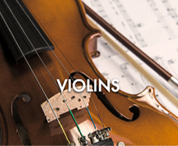 Violins