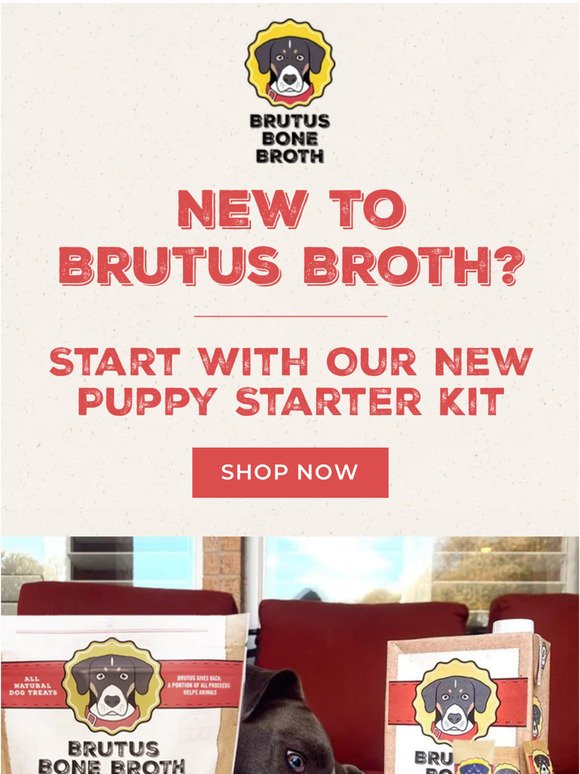Treat Your Pup to Our Puppy Starter Kit: Now on SALE!