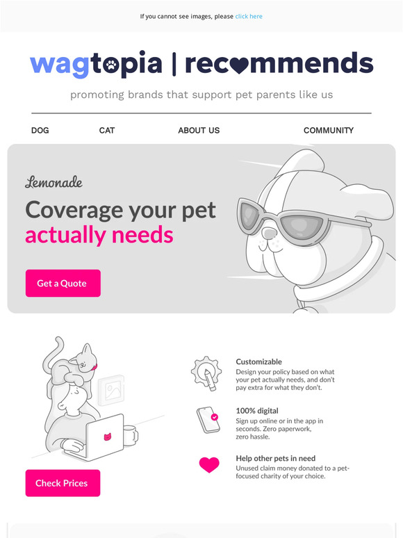 Hey Petlover, Protect  Your Pet this National Pet Day!