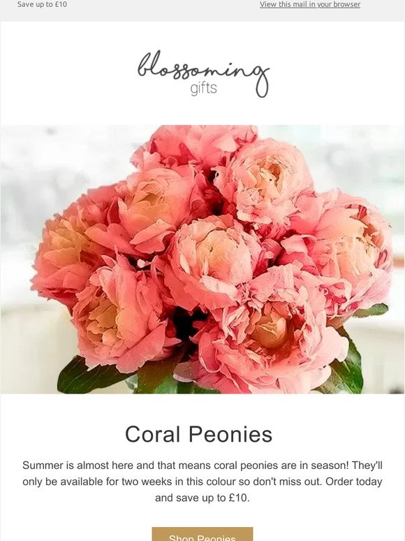 Coral Peonies in Season - 2 Weeks Only
