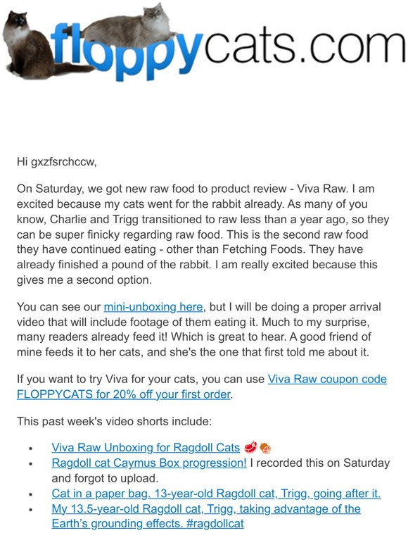 New Vlog-Cat Dentals, Ragdoll Cat Size Comparison, + More 😻