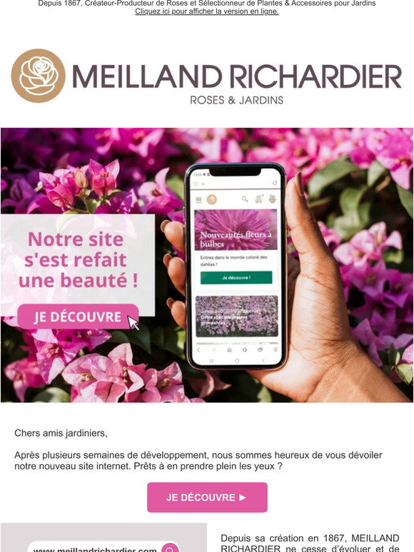 Sitemapcdatahttpsrfswindecoocomcode Promo Meilland Richardiernull