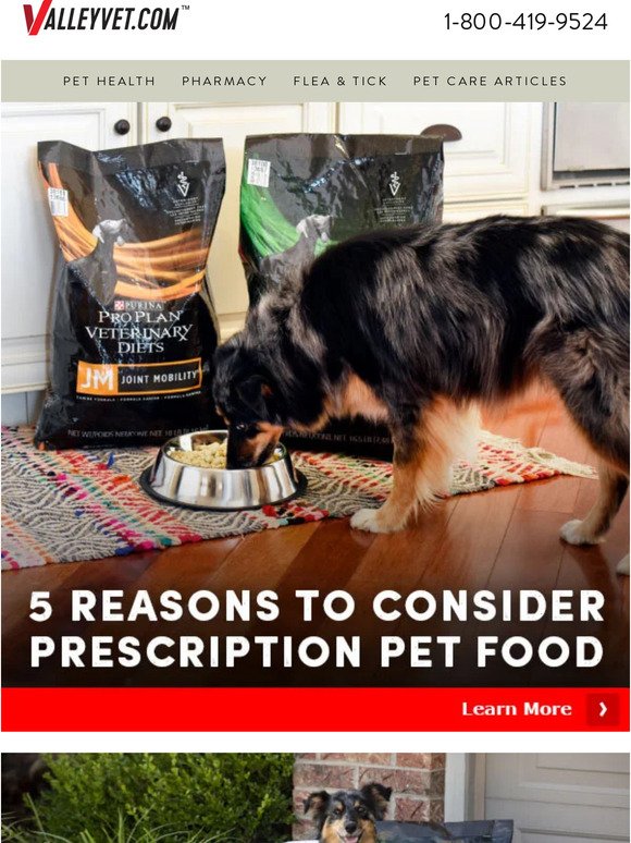 5 Reasons to Consider Prescription Pet Food