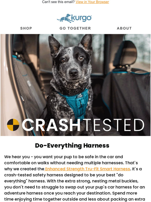 Brighten Up Your Dog's Harness Color with Tru-Fit