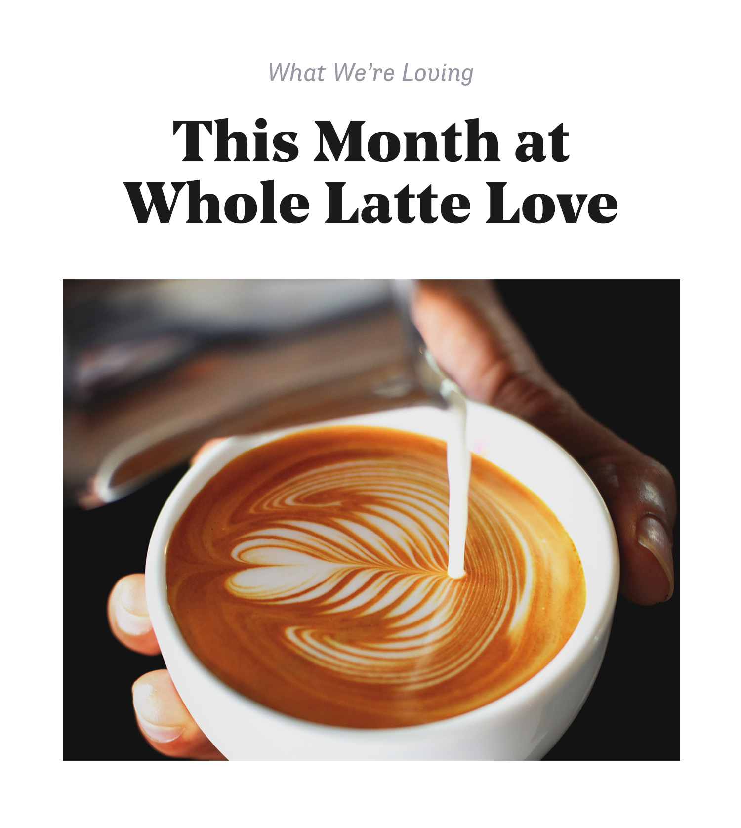 Whole Latte Love What We're Loving This Month Milled