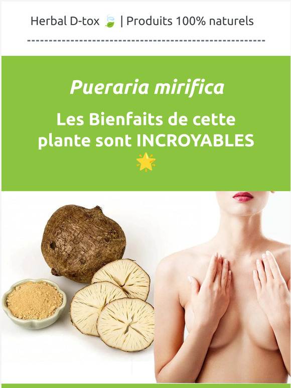 🌿 Raffermissement de la Poitrine, Meilleure Libido ♀︎♂︎, Ménopause apaisée, Peau rajeunie..