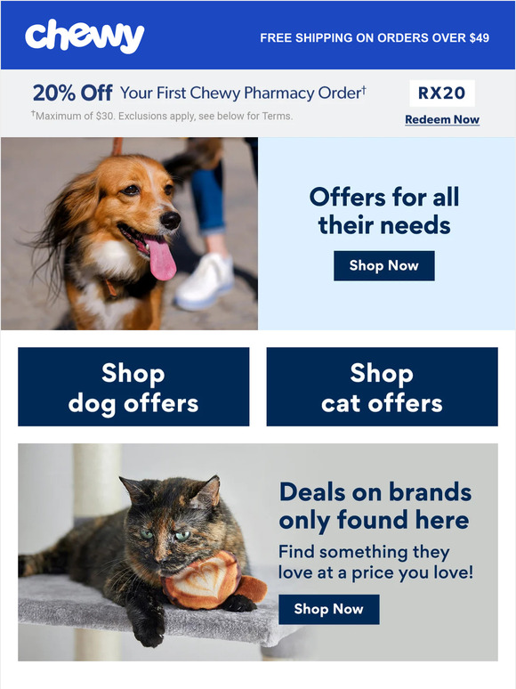 Inside: Offers for All Your Pet's Needs